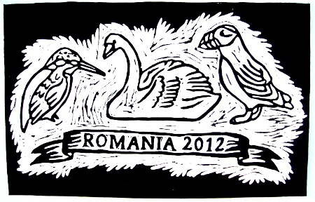 A Romanian adventure